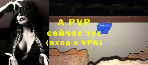 кокс Ростов