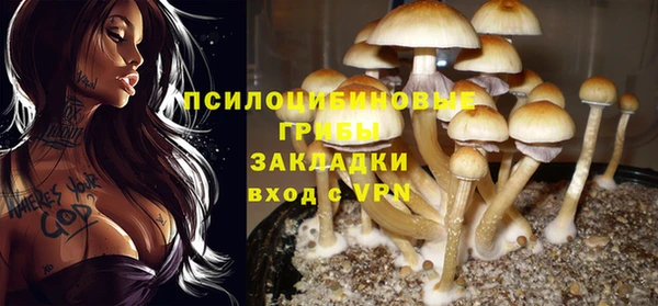 меф Бородино