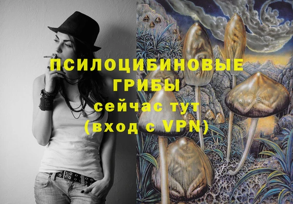 бутират Верхний Тагил