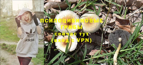 молекула духа Верея