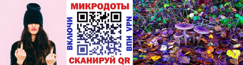 Галлюциногенные грибы Psilocybe  даркнет сайт  Донецк 